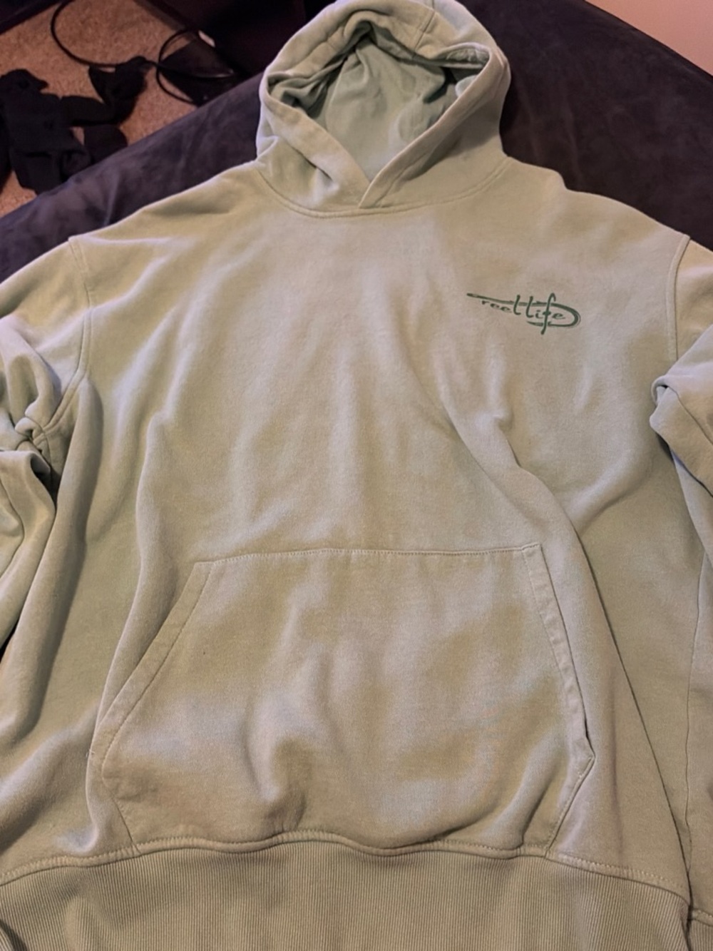 Mint Green Hooded Sweatshirt with Script Logo - Men